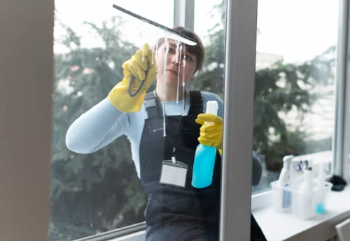 Nettoyage de vitres intérieures et extérieures à Lantignié